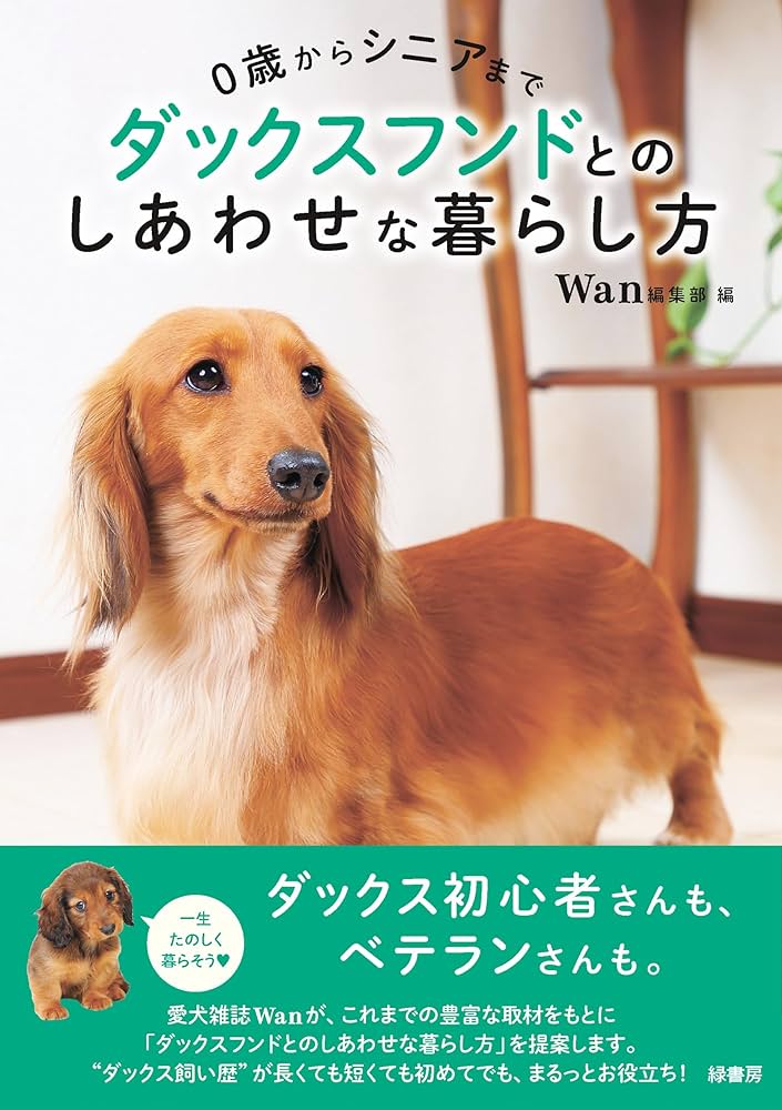 うちの子けだまだま 犬 ダックス セルフペイント Lサイズ 送料無料 新品未使用 0歳からシニアまで ダックスフンドとのしあわせな暮らし方 株式